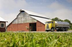 Cypress Grove Barn and Milk Truck — Arcata, CA