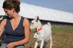 Grover with Baby Goat, Barn in Background